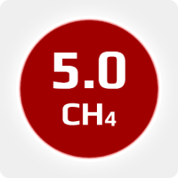 Метан  (CH4) 5.0 (99,999 %) в баллоне 10л. 100 бар, соединением W21,6x1/14'' LH (DIN1)